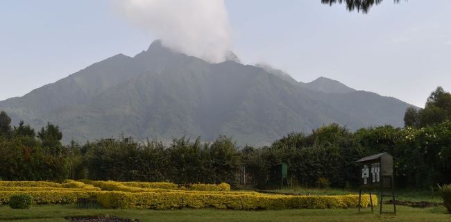 Rwanda Volcanoes National Park